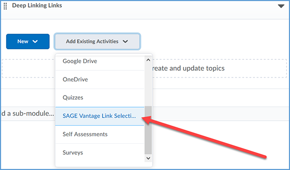 This image shows the option list in the context menu with the SAGE Vantage tool highlighted.