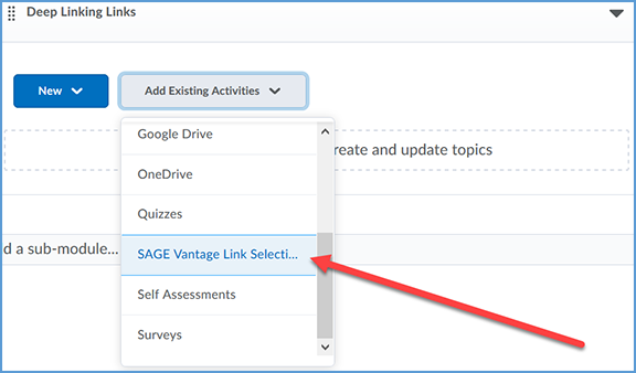 This image shows the option list in the context menu with the Sage Vantage tool highlighted.