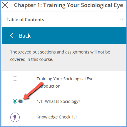 Once the Table of Contents is expanded to a chapter's contents, a location indicator marks the present location within the course.